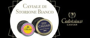Calvisius caviale storione bianco