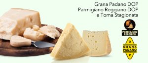 Grana Padano DOP, Parmigiano Reggiano DOP e Toma Stagionata
