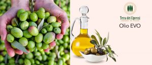 Terra dei Cipressi Olio EVO Latta da 1L
